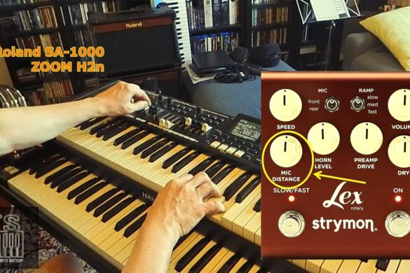Strymon Lex V2 & Hammond SKX Pro