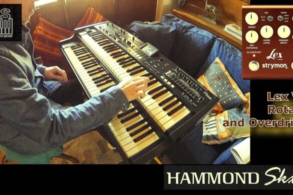 Strymon Lex V2 & Hammond SKX Pro