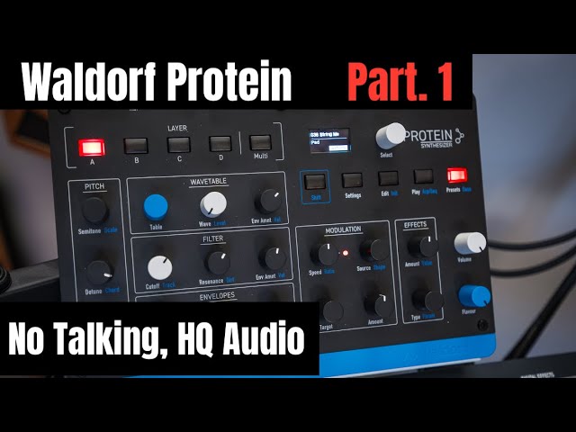Waldorf Protein: sintetizzatore wavetable polifonico compatto con anima Microwave